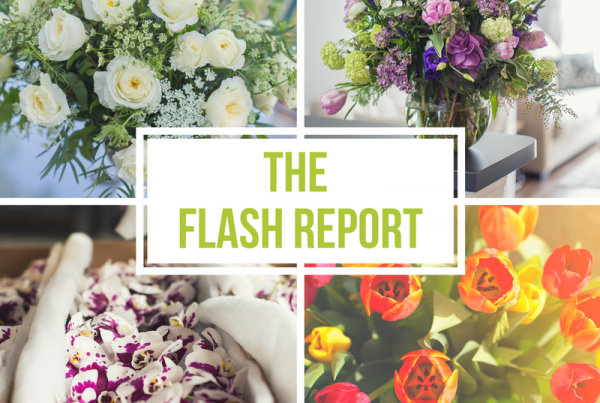 Flash Report