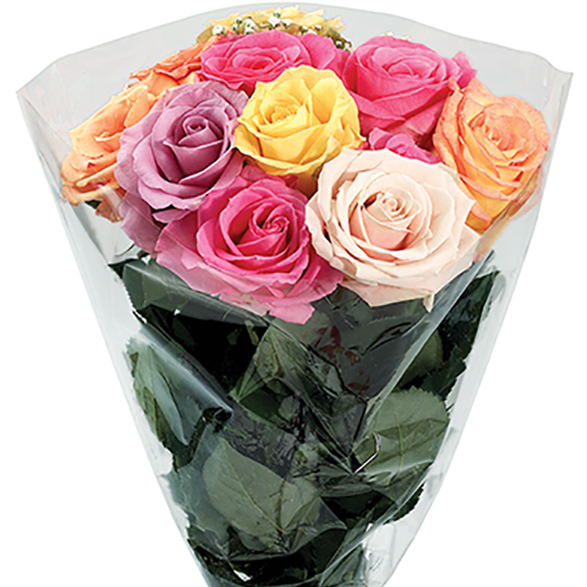 Bouquet Rose Dozen Rainbow Queens