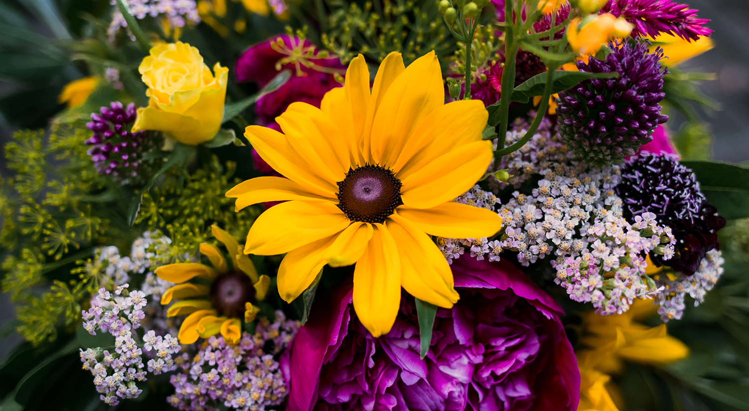 Spotlight On American Grown Flowers Month! – DVFlora®