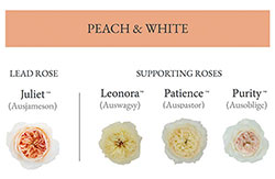 Peach & White with lead in Juliet